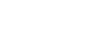 Meta Business Partner
