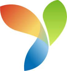 Web Application Development Agency in Delhi